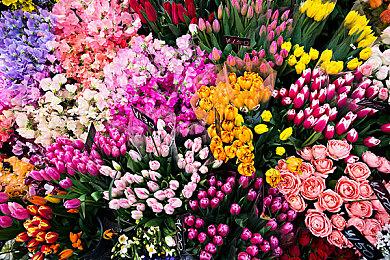 亚马逊prime会员11月福利 三款游戏大作免费送